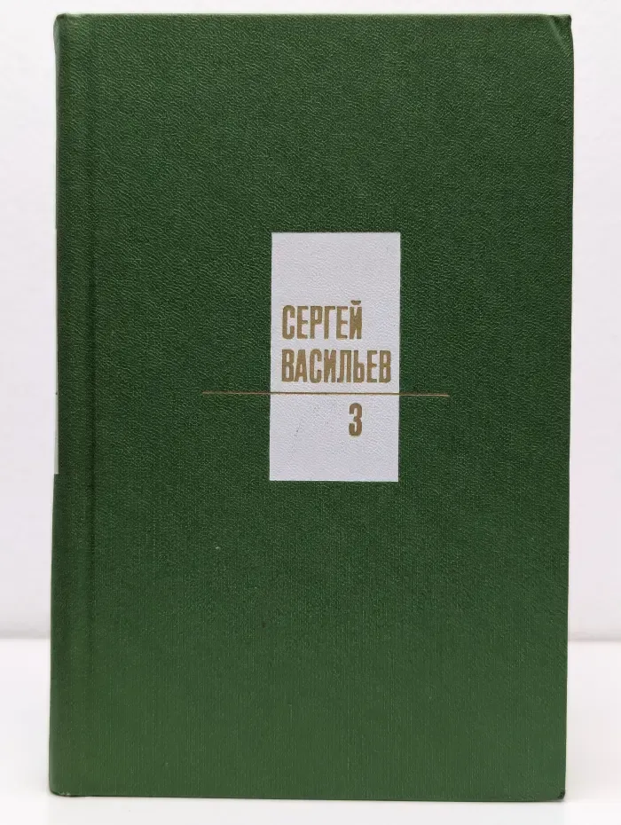 Сергей Васильев. Собрание сочинений в 3 томах. Том 3. Проза про поэзию