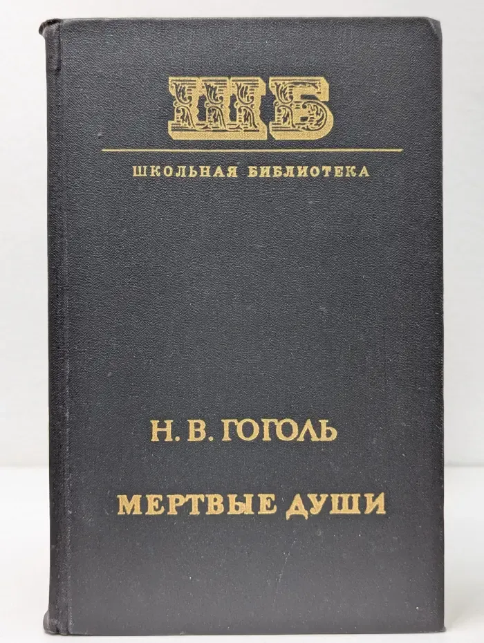 Школьная библиотека. Мертвые души