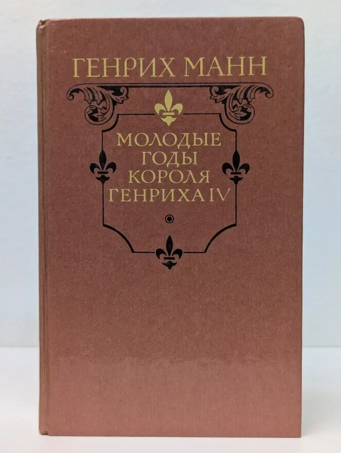 Молодые годы короля Генриха IV