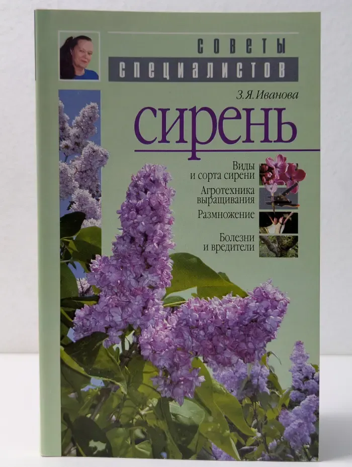 Советы специалистов. Сирень