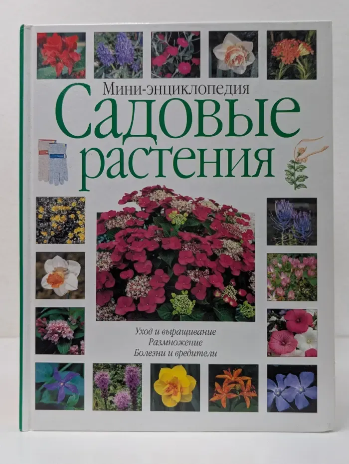 Мини-энциклопедия. Садовые растения