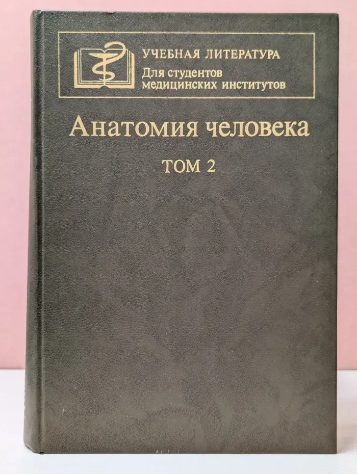 Анатомия человека. В 2 томах. Том 2