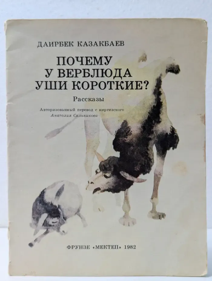 Почему у верблюда уши короткие?