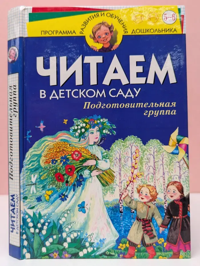 Программа развития и обучения дошкольника. Читаем в детском саду. Подготовительная группа
