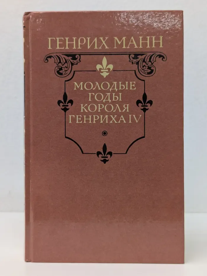 Молодые годы короля Генриха IV
