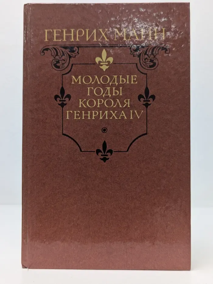 Молодые годы короля Генриха IV