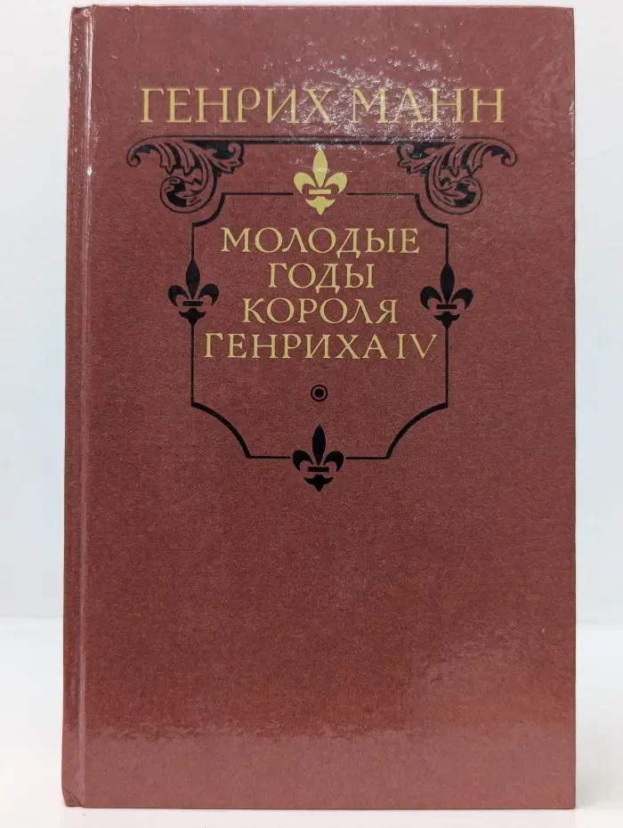 Молодые годы короля Генриха IV
