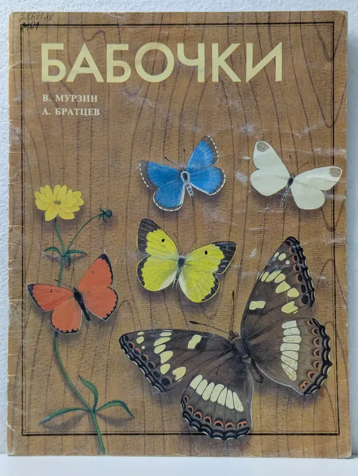 Бабочки