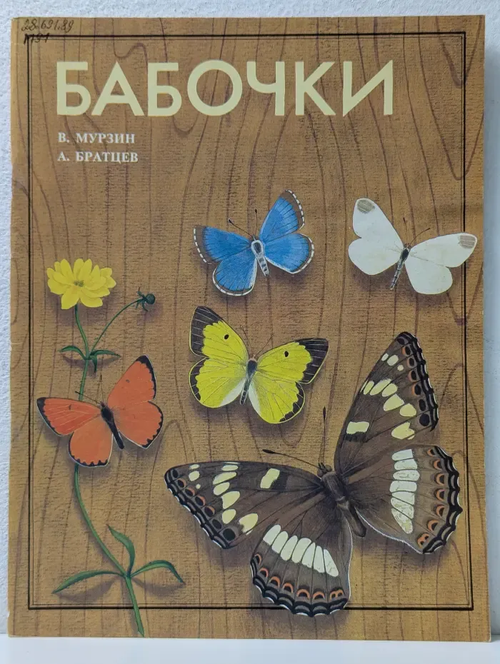 Бабочки
