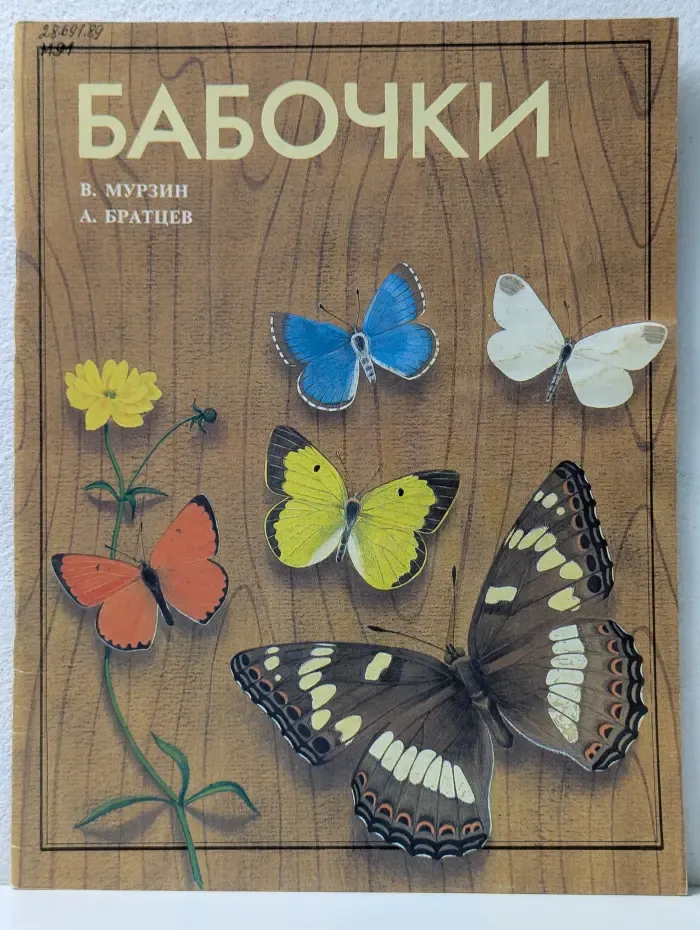 Бабочки