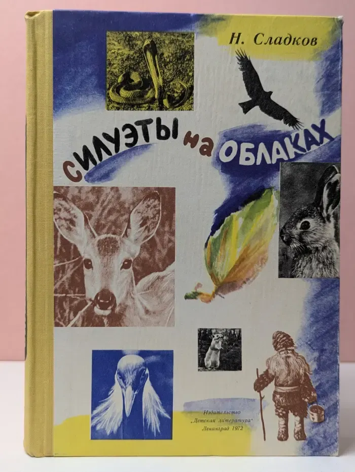 Силуэты на облаках