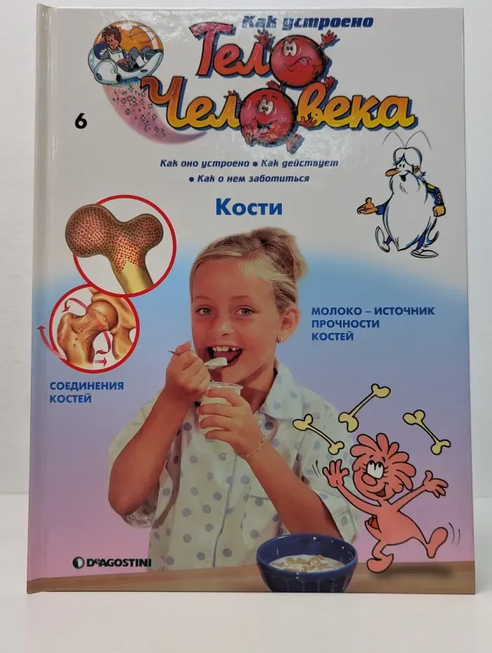 Как устроено тело человека. Выпуск № 6/2007. Кости