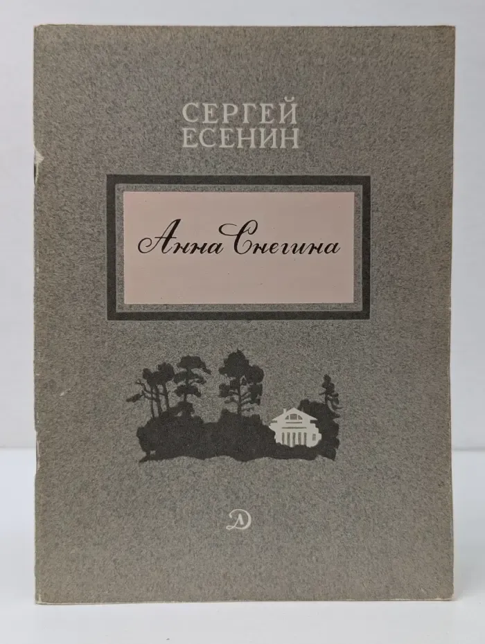 Школьная библиотека. Анна Снегина
