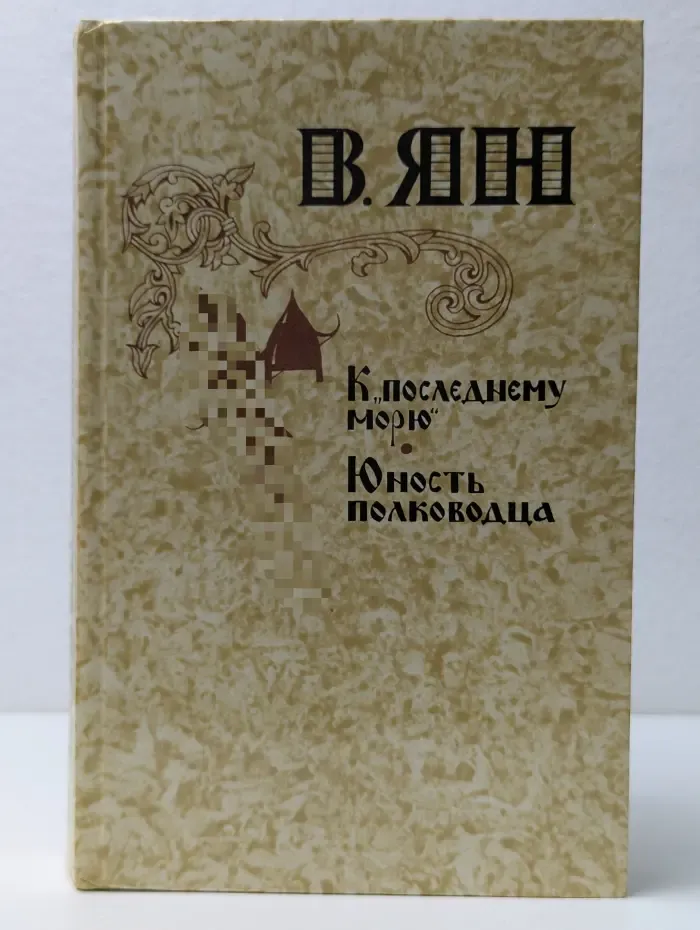 К последнему морю. Юность полководца