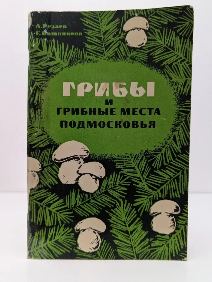 Грибы и грибные места подмосковья