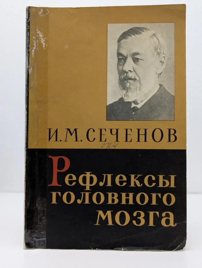 Рефлексы головного мозга