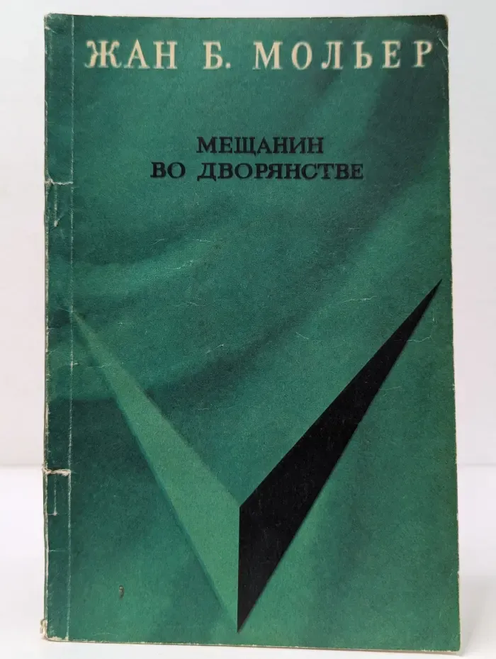 Школьная библиотека. Мещанин во дворянстве
