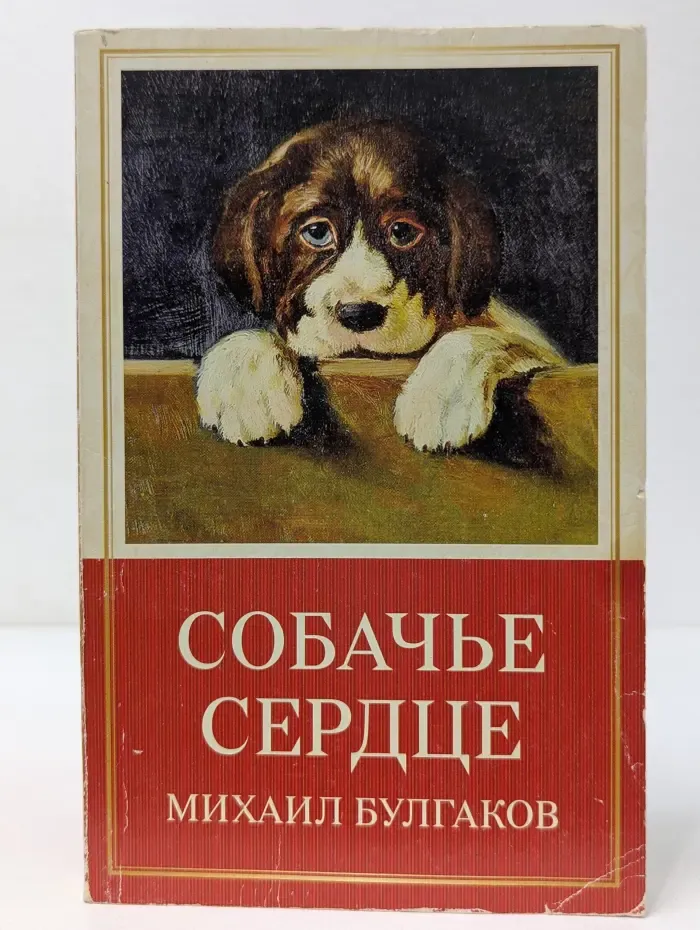 100 классных книг. Собачье сердце