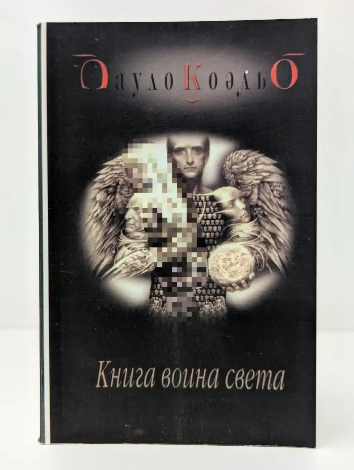 Книга воина света