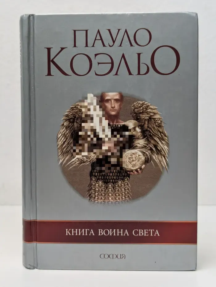 Книга воина света