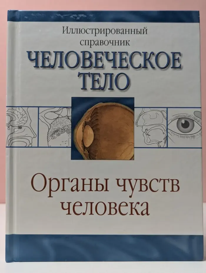 Человеческое тело. Органы чувств человека