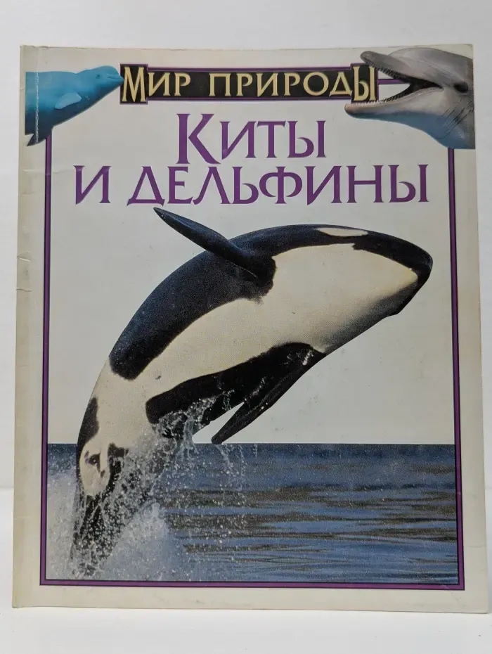 Мир природы. Киты и дельфины