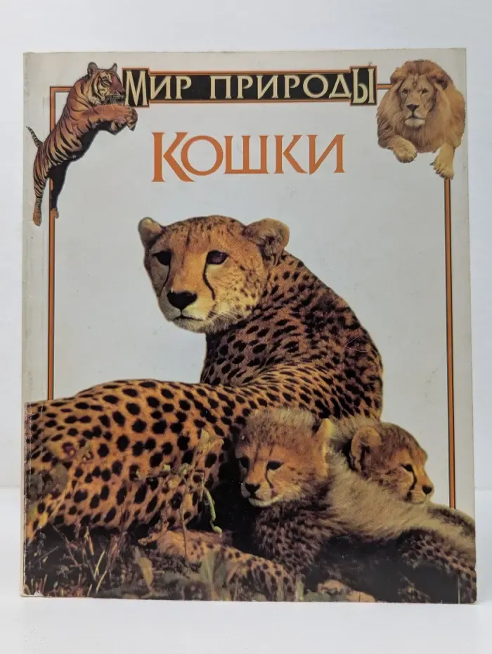Мир природы. Кошки