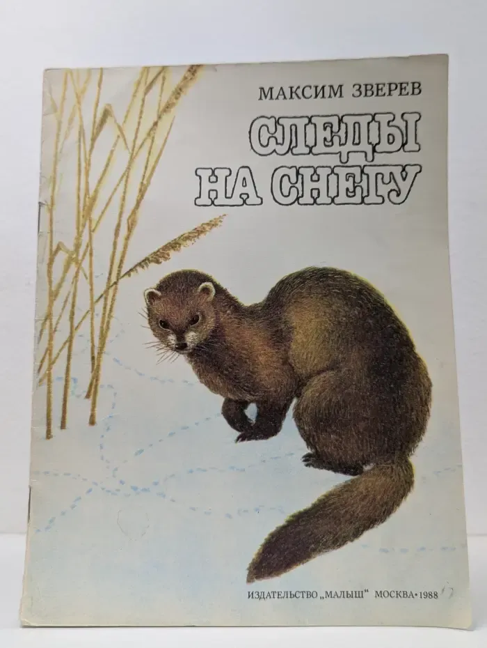 Следы на снегу