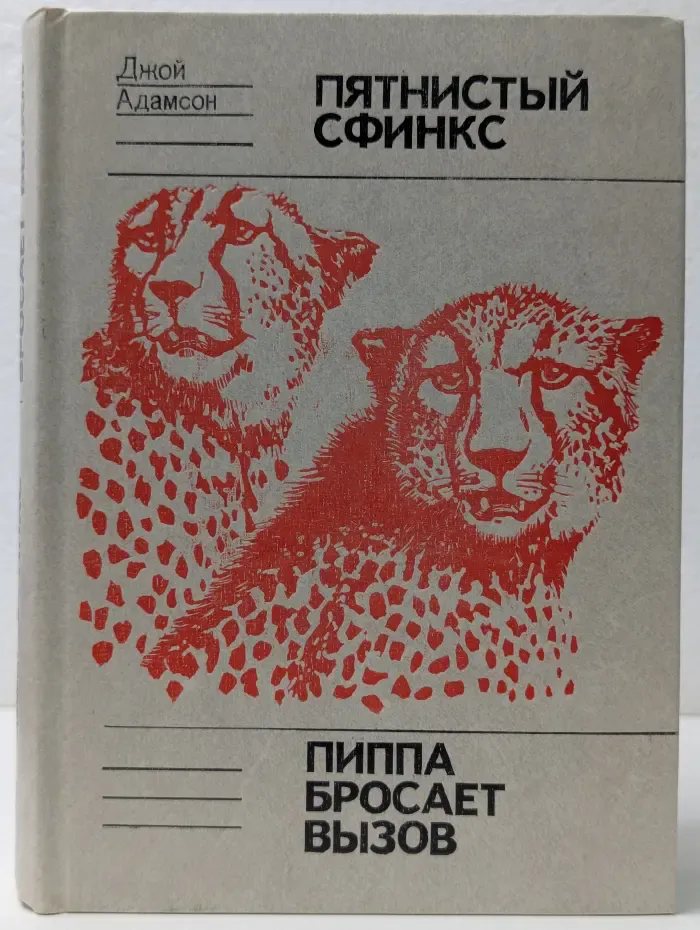 Пятнистый сфинкс. Пиппа бросает вызов