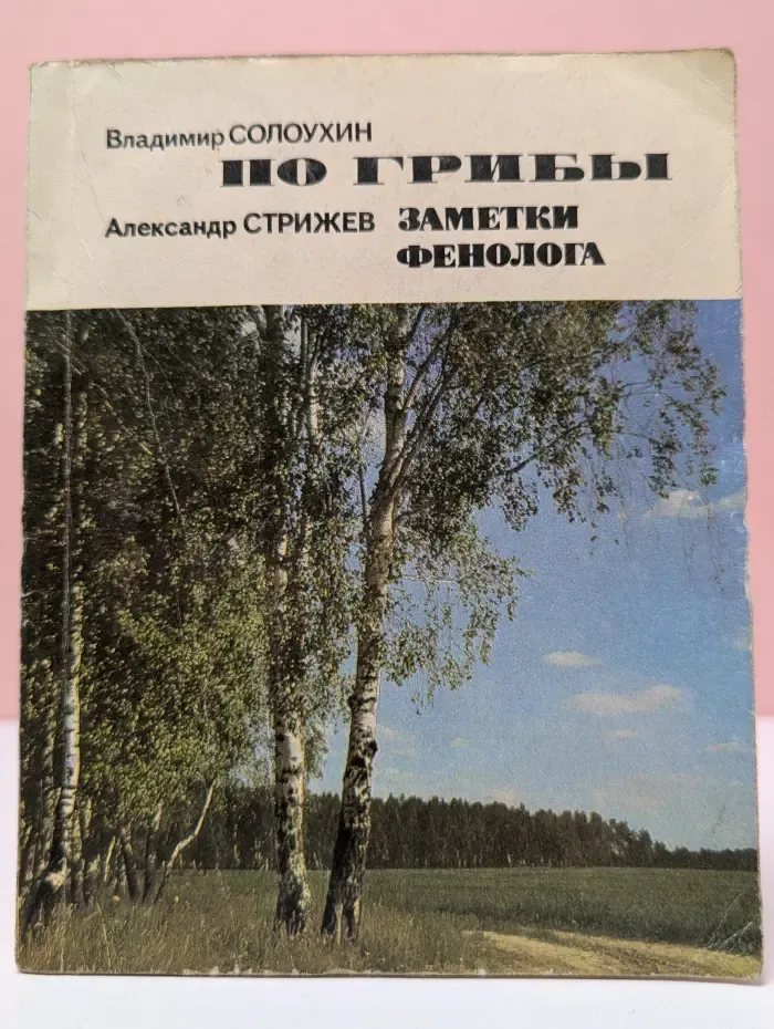 По грибы. Заметки фенолога