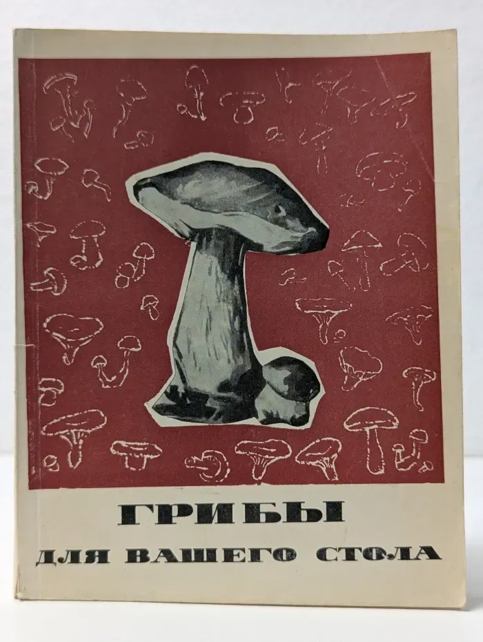 Грибы для вашего стола