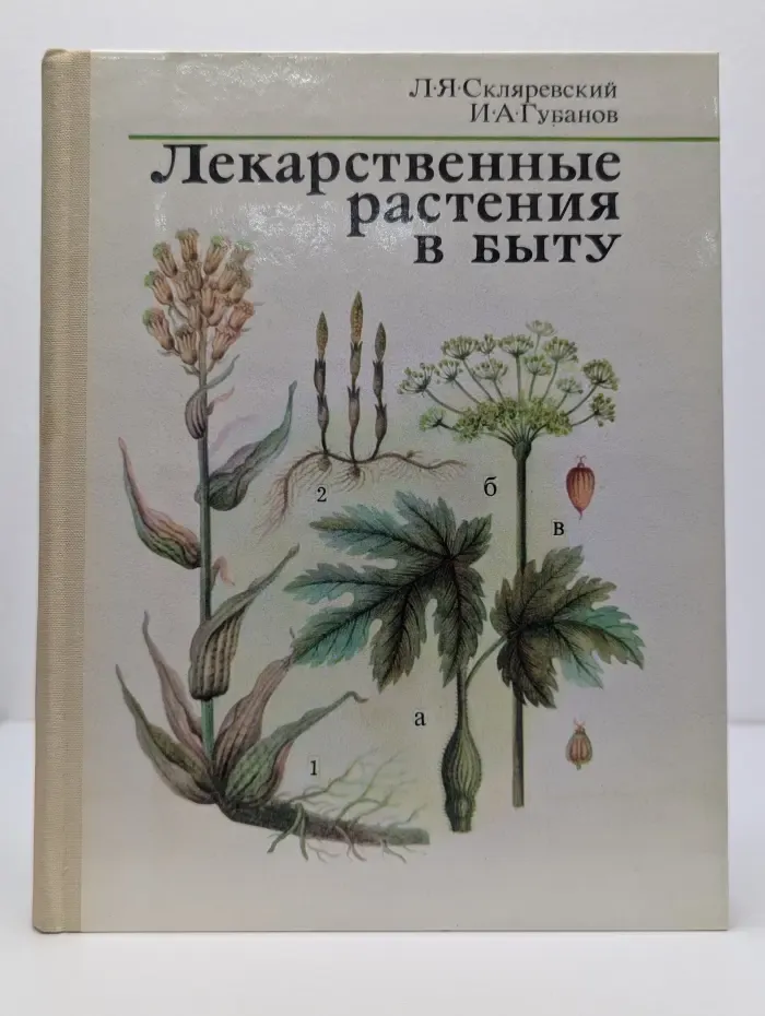 Лекарственные растения в быту