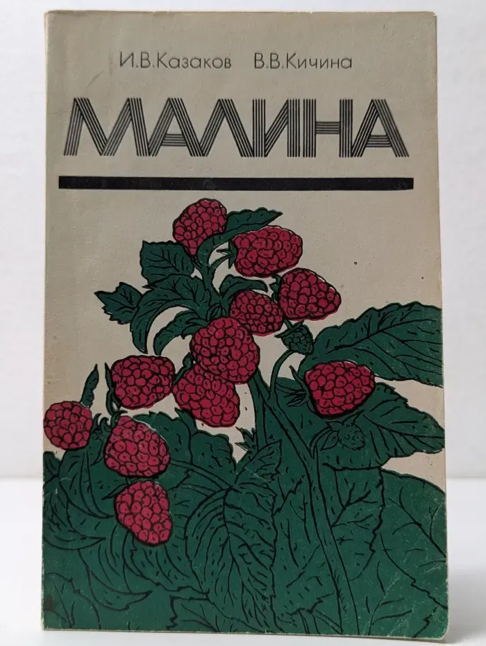 Малина
