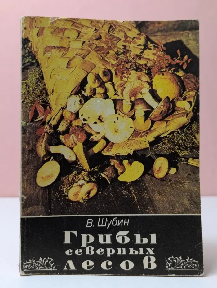 Грибы северных лесов