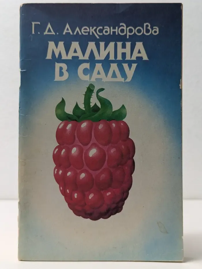 Малина в саду