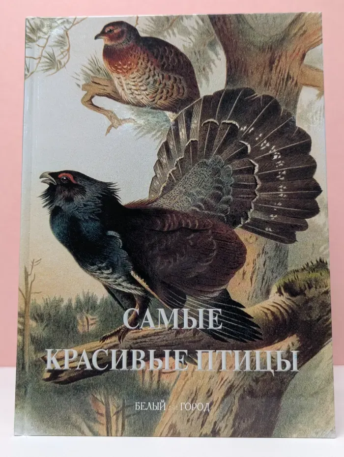 Самые красивые птицы
