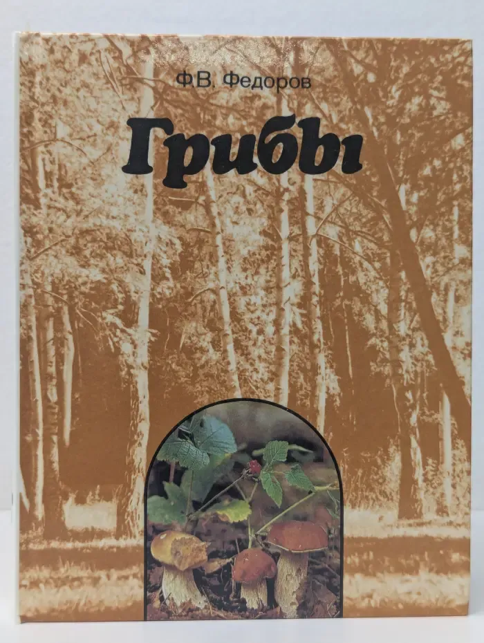 Грибы
