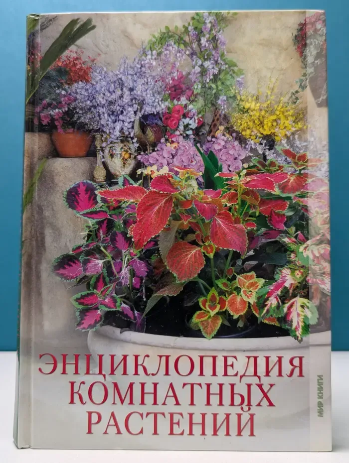 Энциклопедия комнатных растений