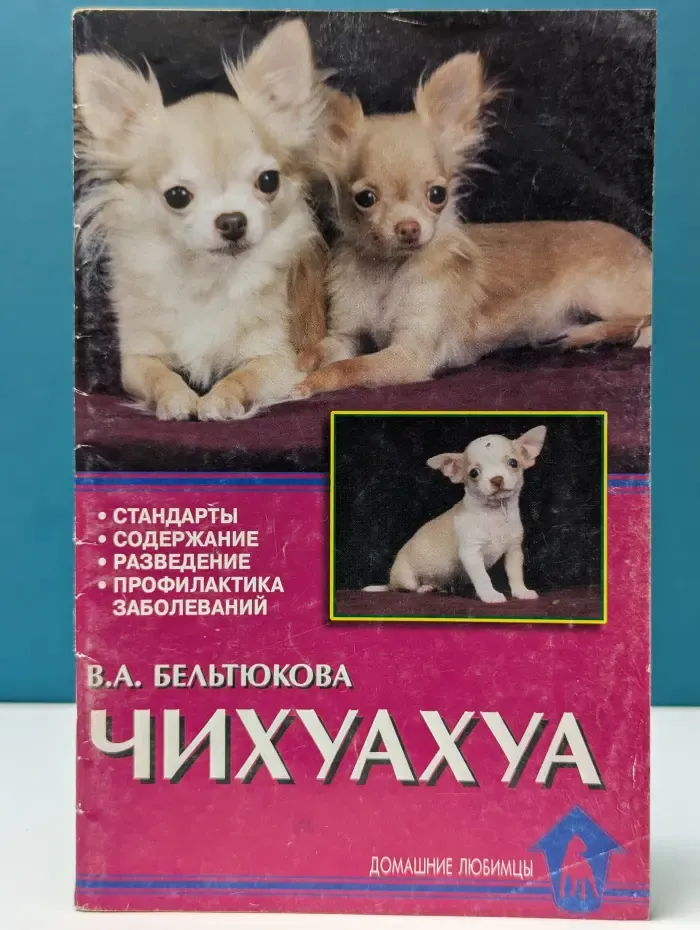 Чихуахуа