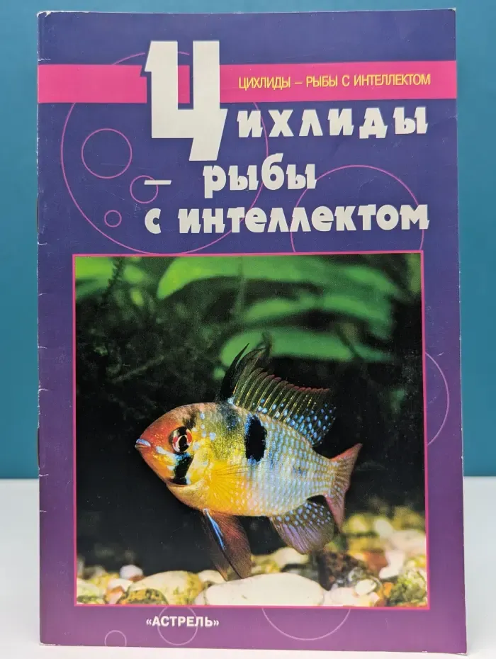Цихлиды - рыбы с интеллектом