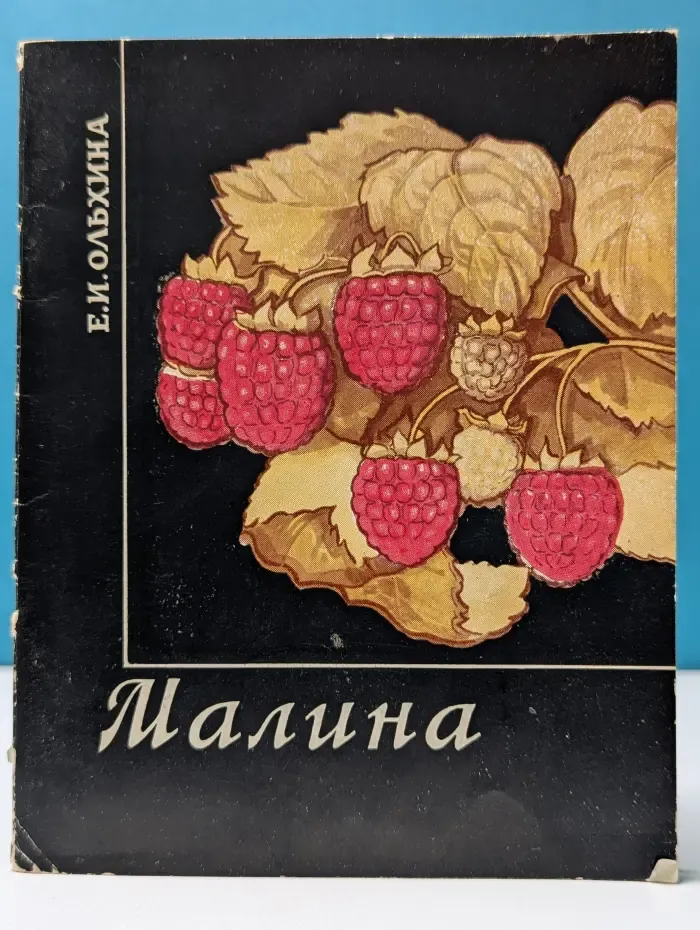 Малина