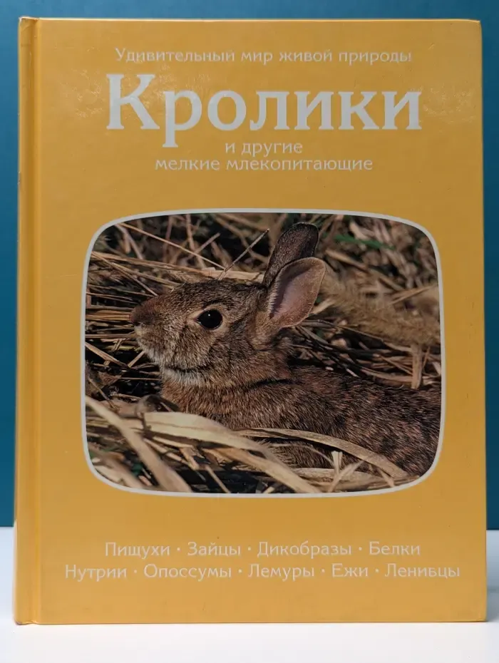 Удивительный мир живой природы. Кролики и другие мелкие млекопитающие