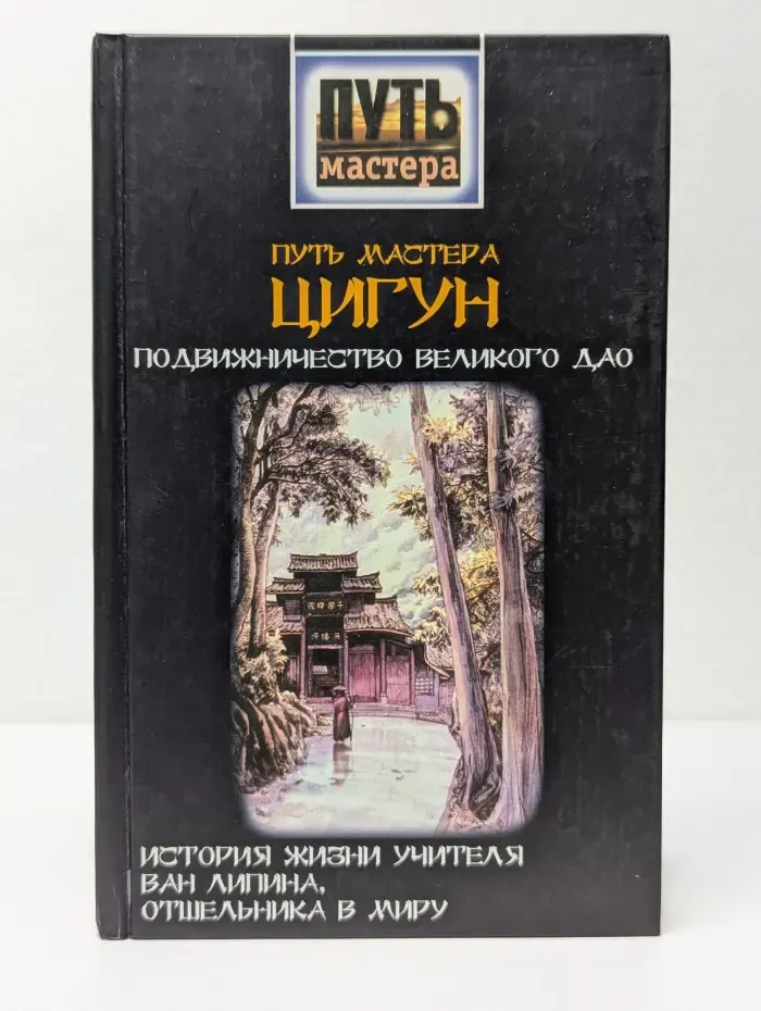 Путь мастера. Путь мастера цигун. Подвижничество Великого Дао. История жизни учителя Ван Липина, отшельника в миру