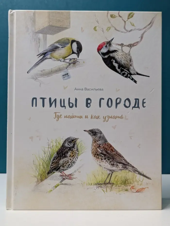 Птицы в городе. Где найти и как узнать
