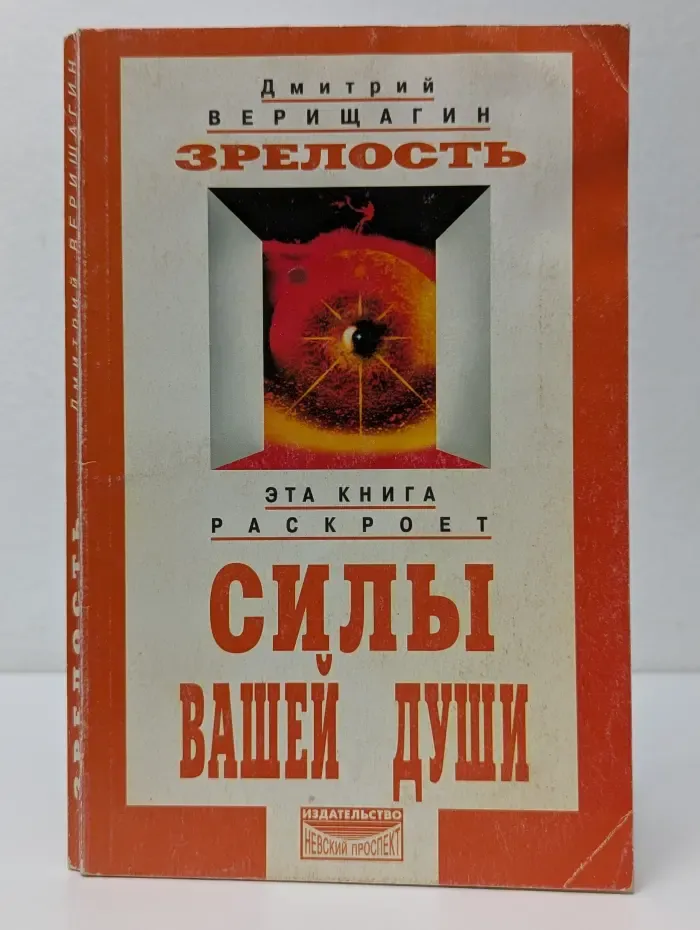 Система ДЭИР. Зрелость. Система дальнейшего энергоинформационного развития, IV ступень