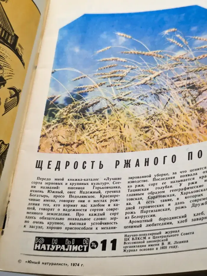 Юный натуралист. Выпуск № 11/1974