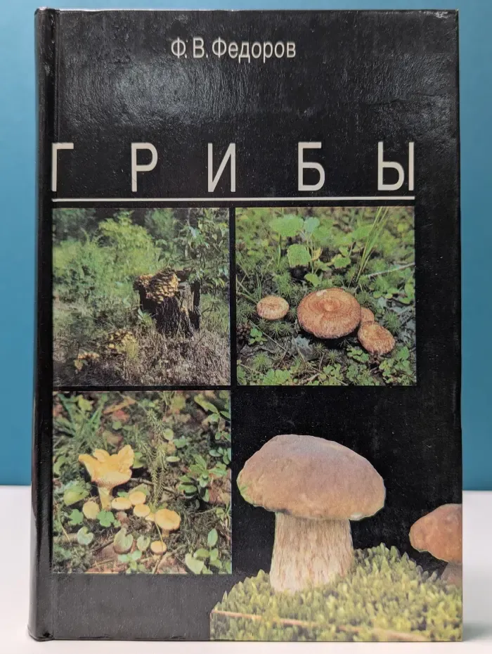 Грибы