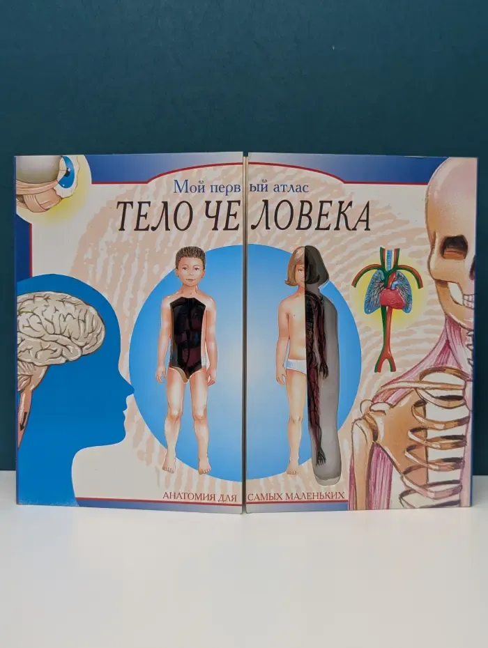 Мой первый атлас. Тело человека. Анатомия для самых маленьких
