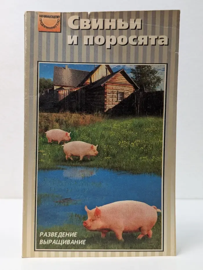 Начинающему предпринимателю. Свиньи и поросята: Разведение. Выращивание. Использование продукции