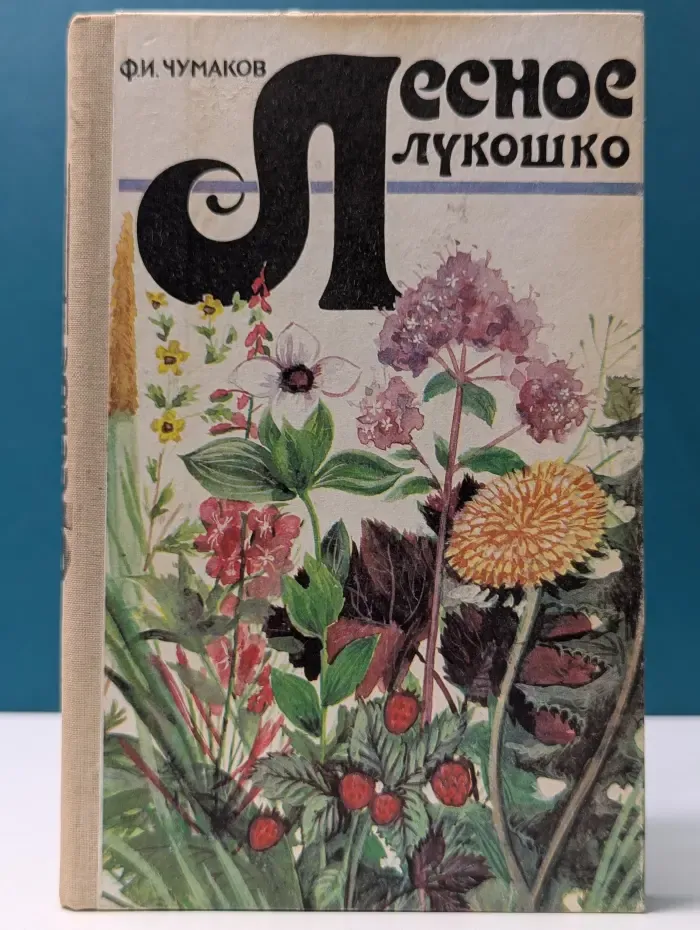 Лесное лукошко